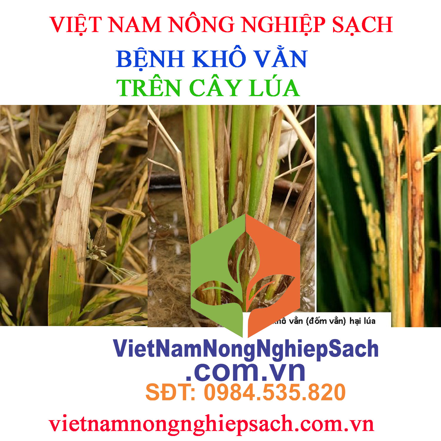 KHÔ-VẰN-LÚA