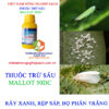 MALLOT-50DC-RỆP-SÁP