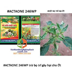 ACTAONE-246WP-trừ-bọ-trĩ