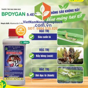 BPDYGAN-5.4EC