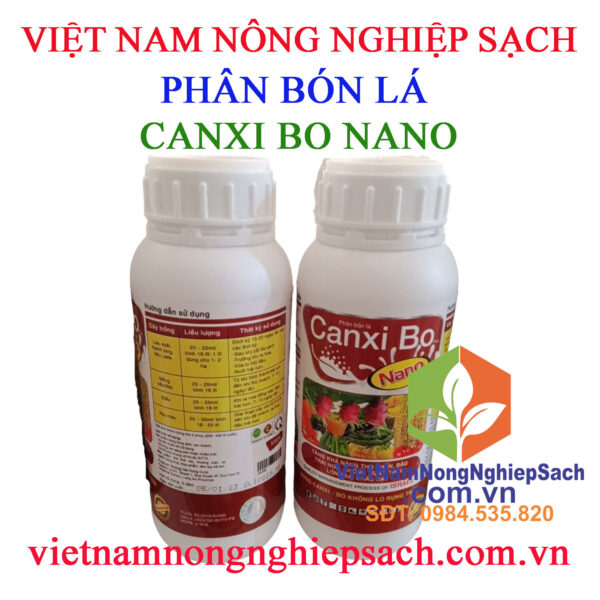 CANXI-BO-NANO