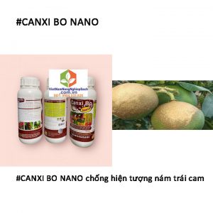 CANXI-BO-NANO-chống-nám-trái
