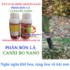 CANXI-BO-NANO-rụng-hoa