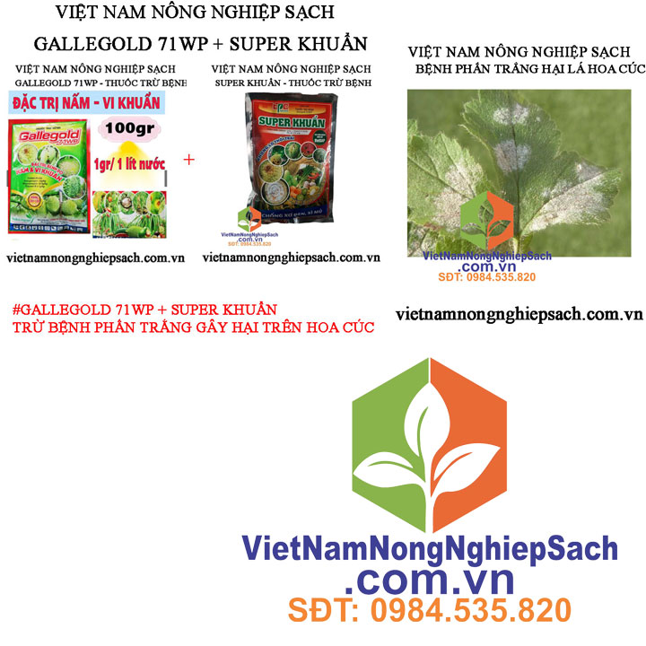 GALLEGOLD-71WP-SUPER-KHUẨN-TRỪ-PHẤN-TRẮNG