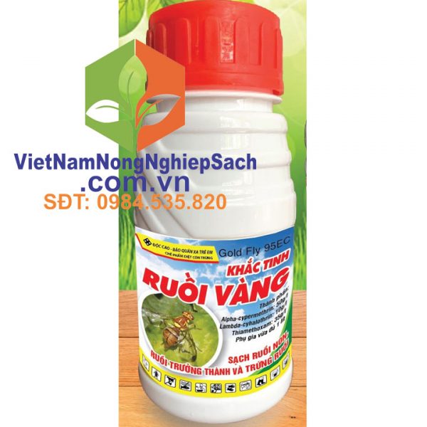 KHẮC-TINH-RUỒI-VÀNG