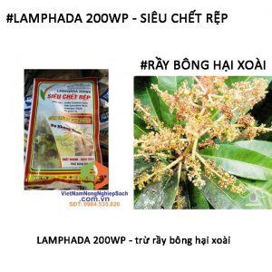 LAMPHADA-200WP-trừ-rầy-bông