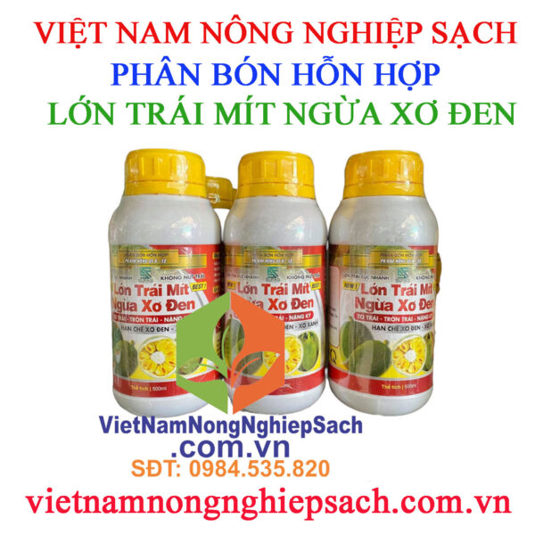 LỚN-TRÁI-MÍT-NGỪA-XƠ-ĐEN