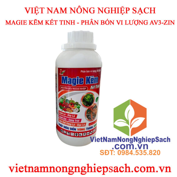 MAGIE-KẼM-KẾT-TINH (2)