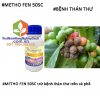 METHO-FEN-50SC-trừ-bệnh-thán-thư-cà-phê
