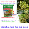 NP-10-60-AGRO-NUTRI-FLOWERS-mầm-hoa