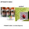 PYRAMITE-500SC-trừ-nhện-đỏ