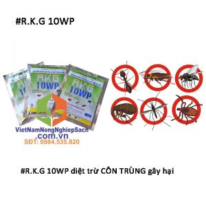 R.K.G-10WP-trừ-côn-trùng