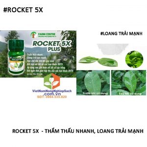 ROCKET-5X-.LOANG-TRẢI-NHANH