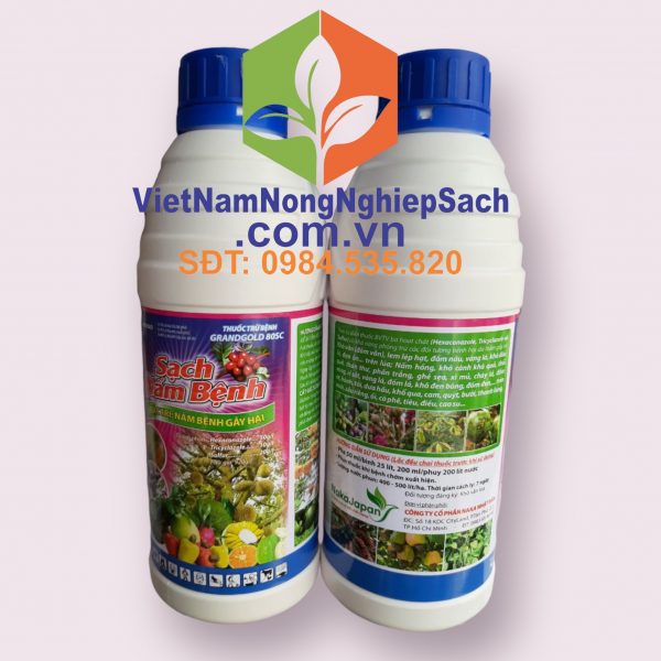 SẠCH NẤM BỆNH