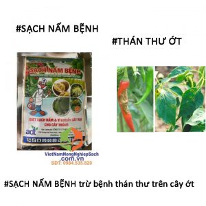 SẠCH-NẤM-BỆNH-TRỪ-THÁN-THƯ-ỚT