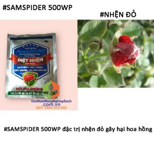 SAMSPIDER-500WP-nhện-đỏ