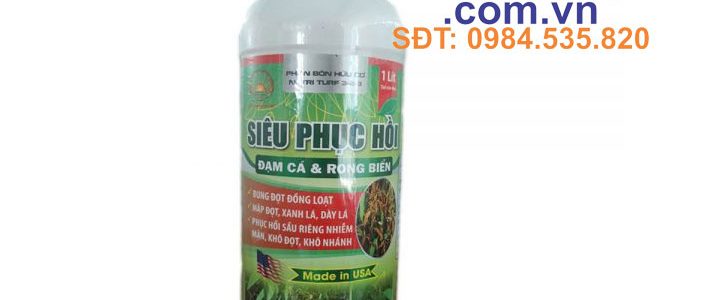 SIÊU-PHỤC-HỒI