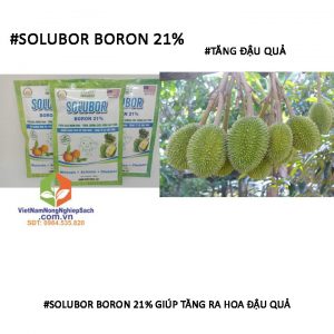 SOLUBOR-BORON-21%-TĂNG-ĐẬU-QUẢ