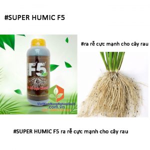 SUPER-HUMIC-F5-ra-rễ-rau