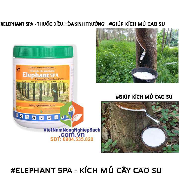 ELEPHANT-5PA-KÍCH-MỦ-CAO-SU