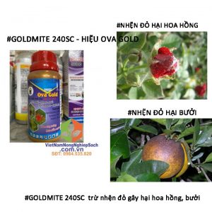 GOLDMITE-240SC-trừ-nhện-đỏ