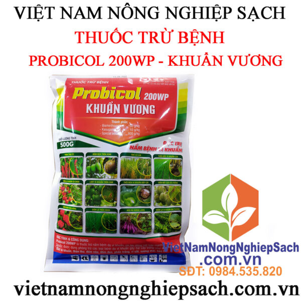 KHUẨN-VƯƠNG