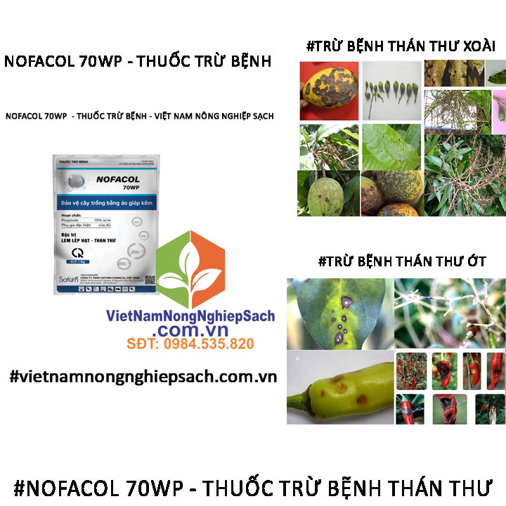 NOFACOL-70WP-thán-thư-ớt