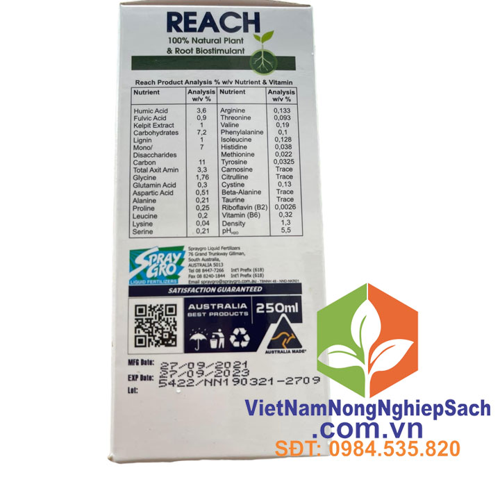 REACH-chai-240ml