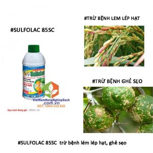 SULFOLAC-85SC-trừ-ghẻ-sẹo