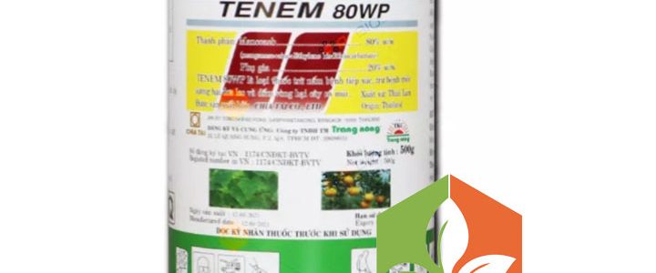 TENEM-80WP