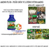 AMINO-PLUS-TO-CỦ-NẶNG-KÝ