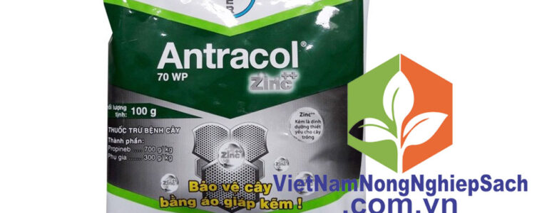 ANTRACOL-ZINC