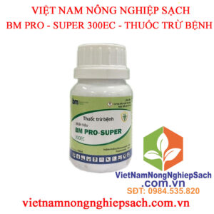 BM-PRO--SUPER-300EC-CHAI-100ML