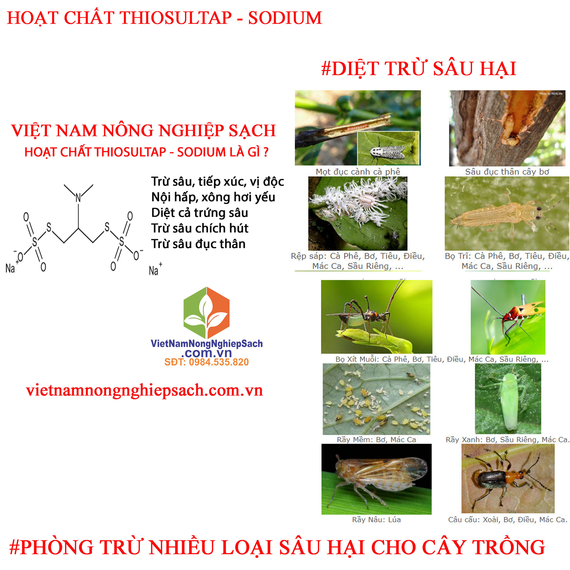 HOẠT-CHẤT-THIOSULTAP---SODIUM