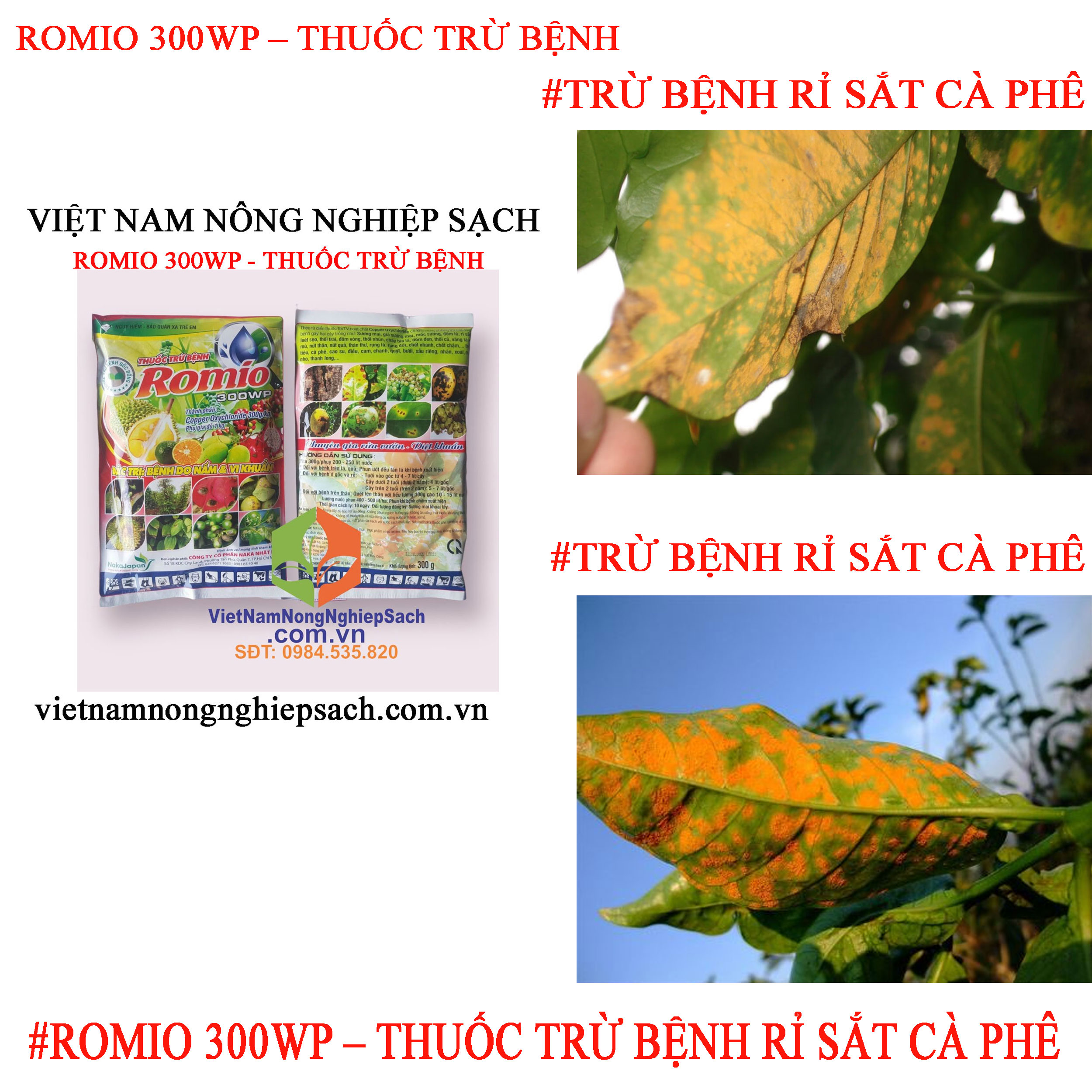 ROMIO-RỈ-SẮT