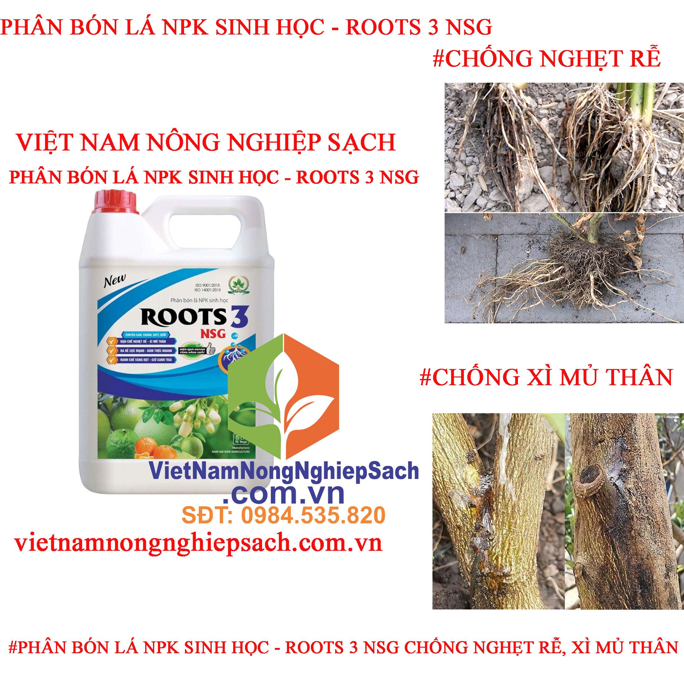 ROOTS-3-NGHẸT-RỄ