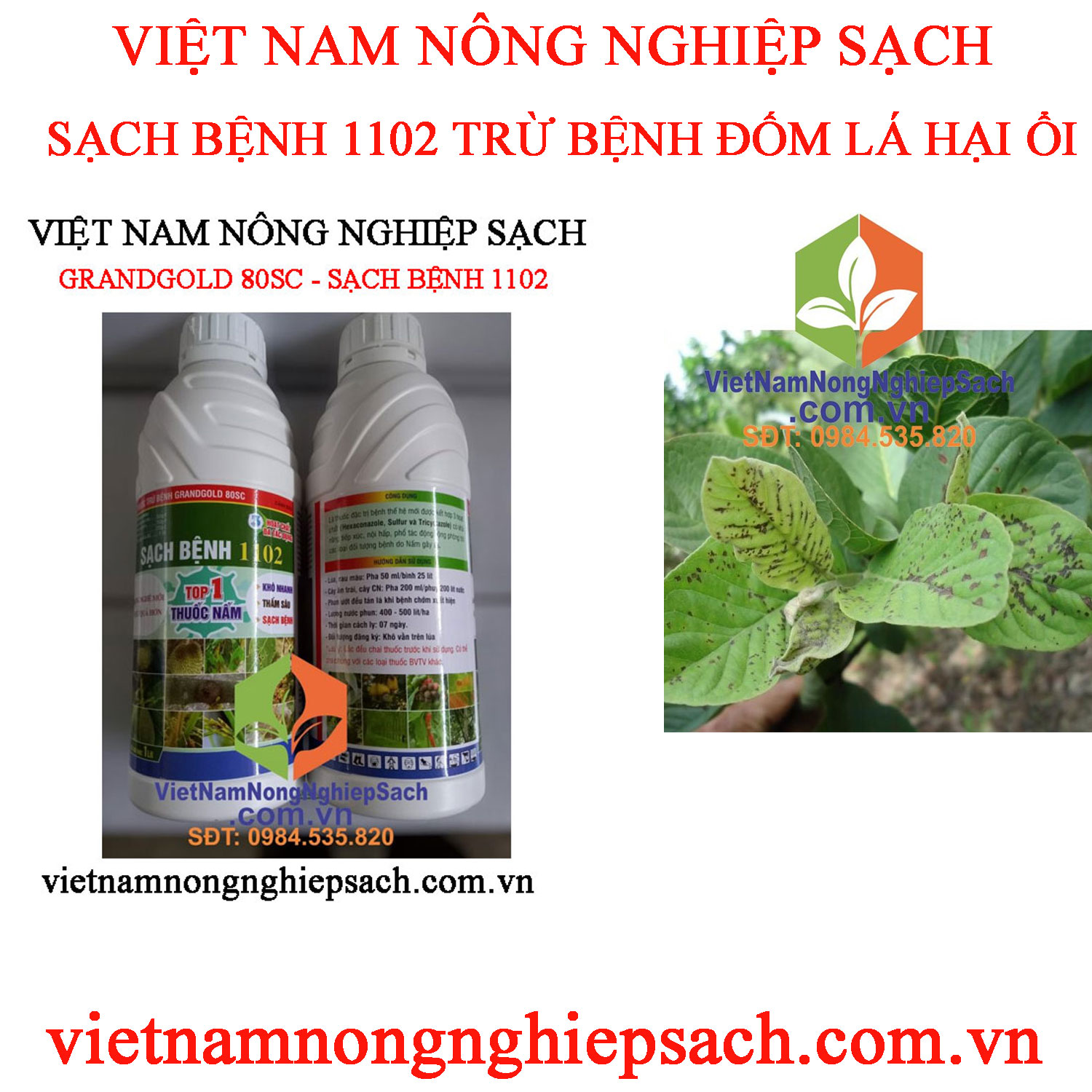 SẠCH-BỆNH-1102-ĐỐM-LÁ-ỔI