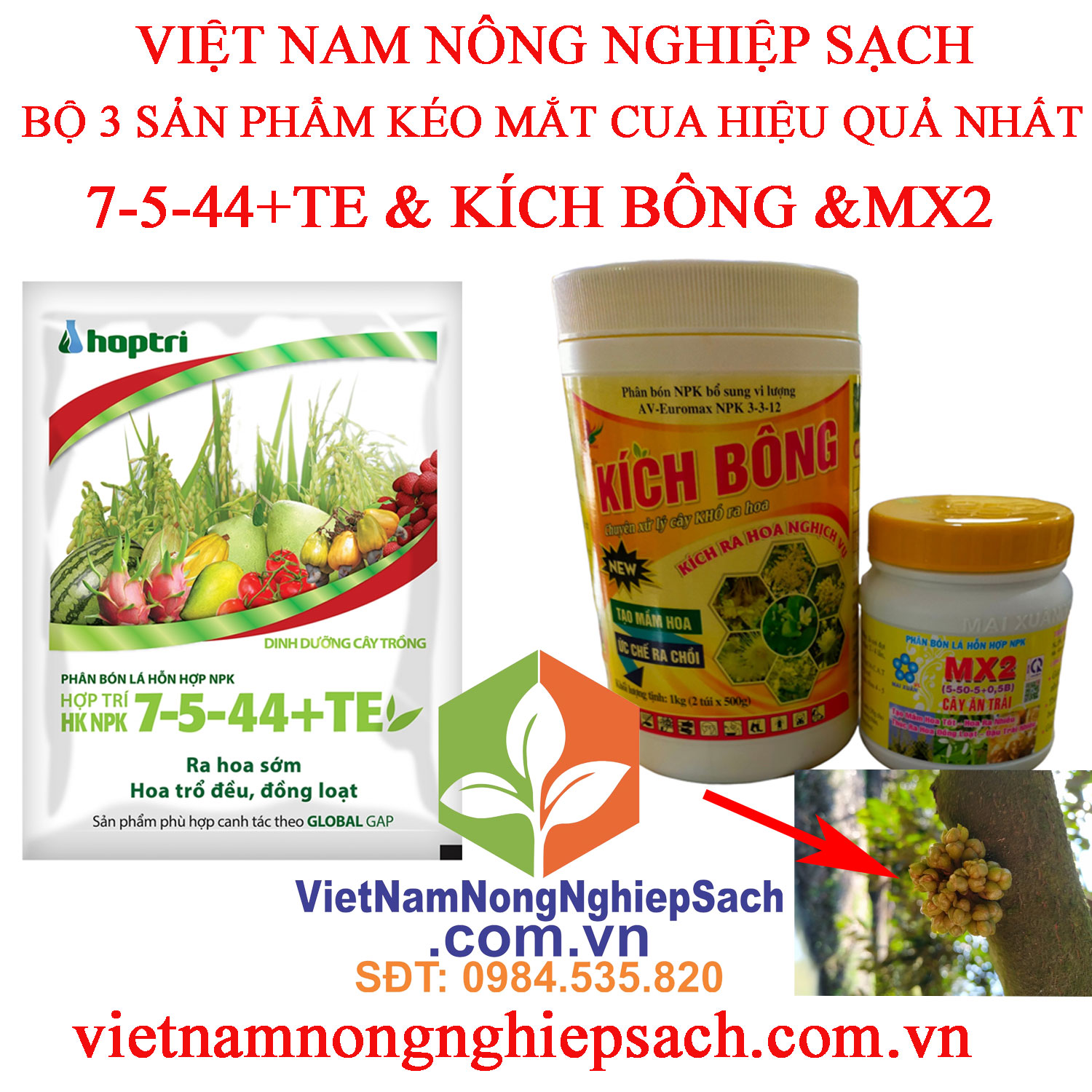 BỘ-3-KÉO-MẮT-CUA