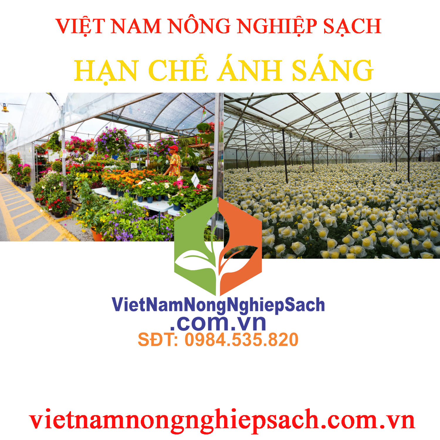 HẠN-CHẾ-ÁNH-SÁNG