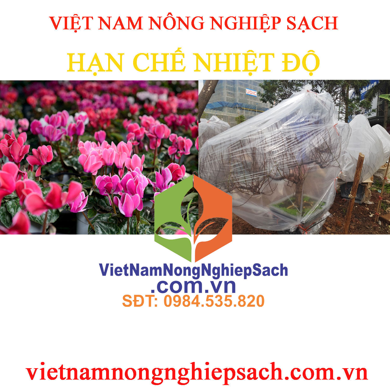 HẠN-CHẾ-NHIỆT-ĐỘ