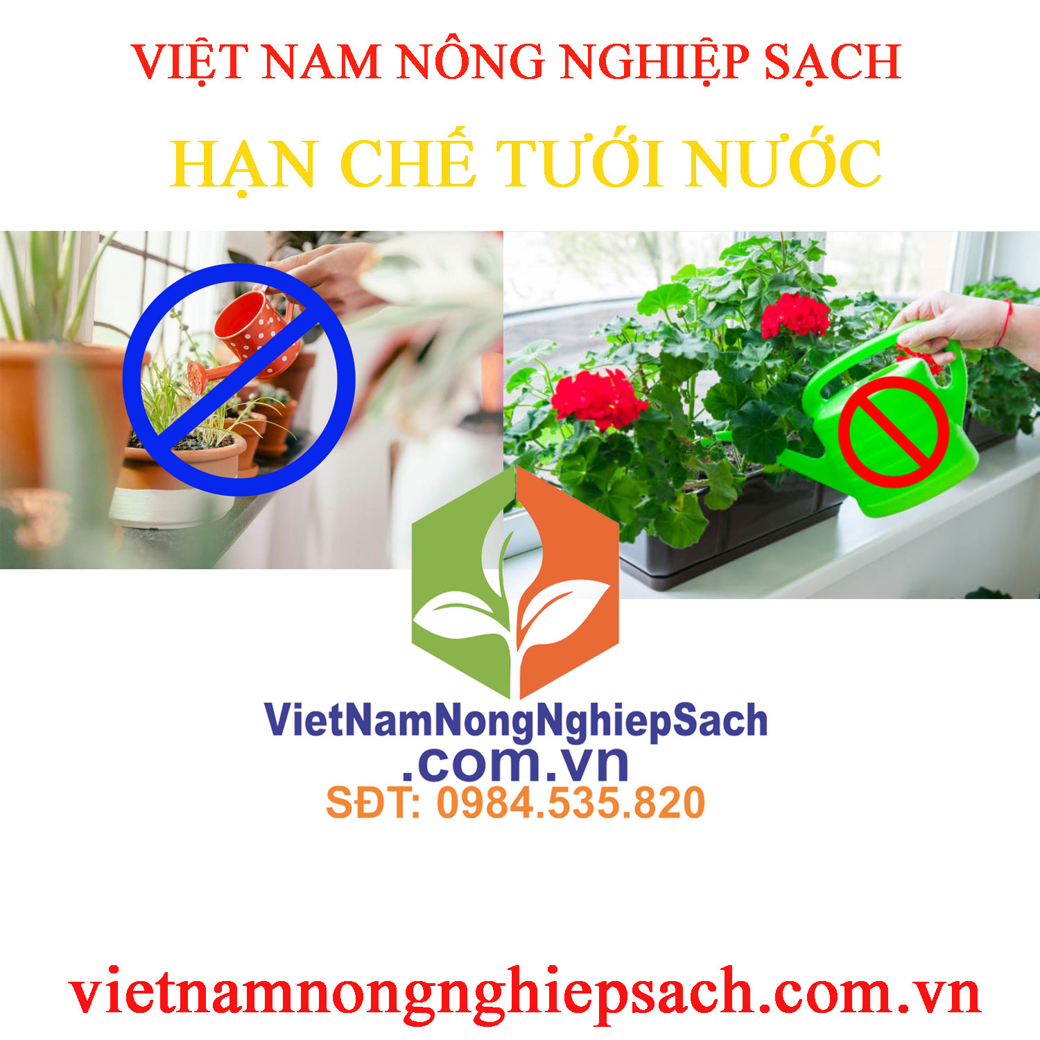 HẠN-CHẾ-TƯỚI-NƯỚC