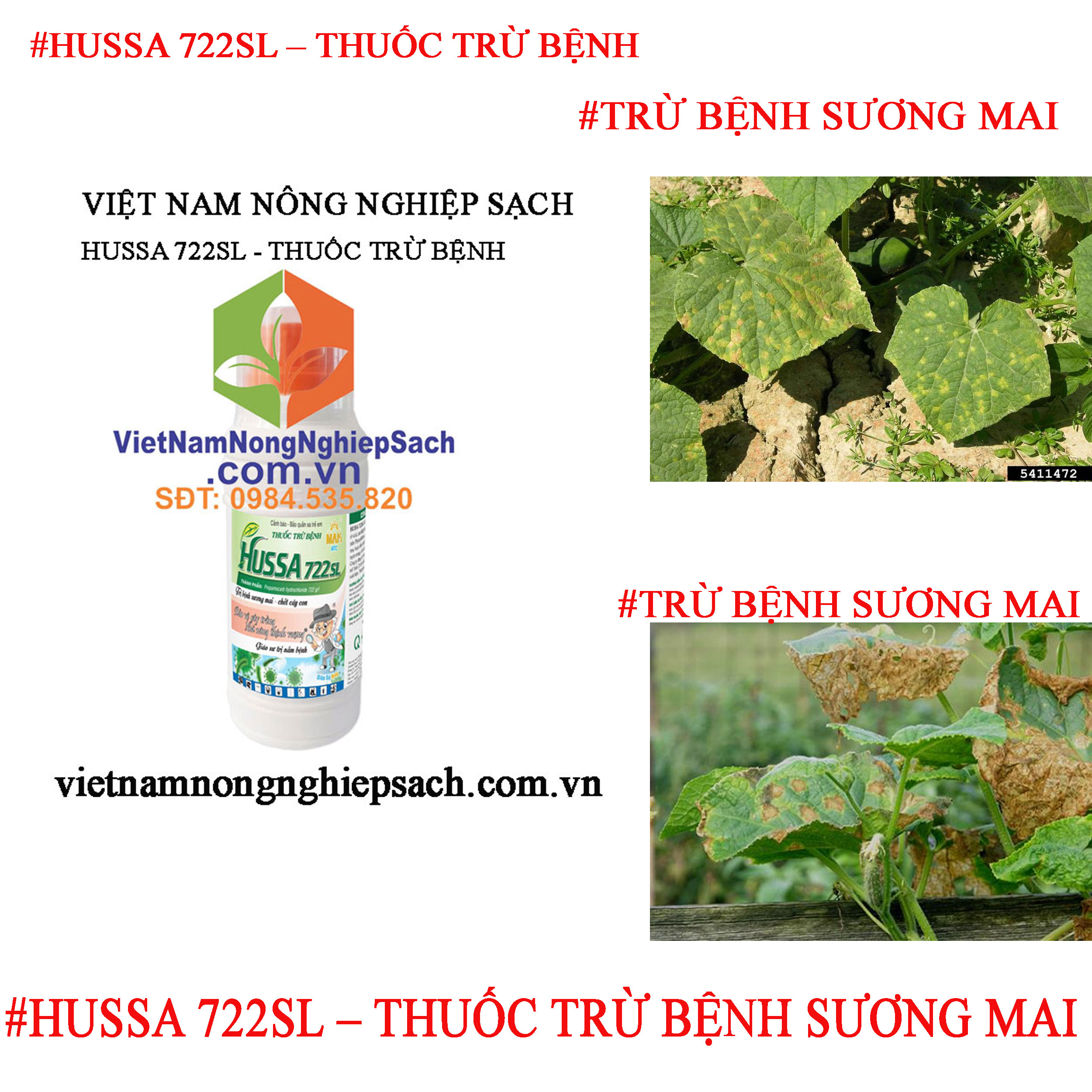 HUSSA-722SL-THUỐC-TRỪ-BỆNH-SƯƠNG-MAI