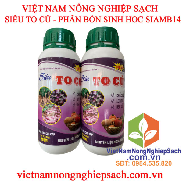 SIÊU-TO-CỦ-CHAI-500ML