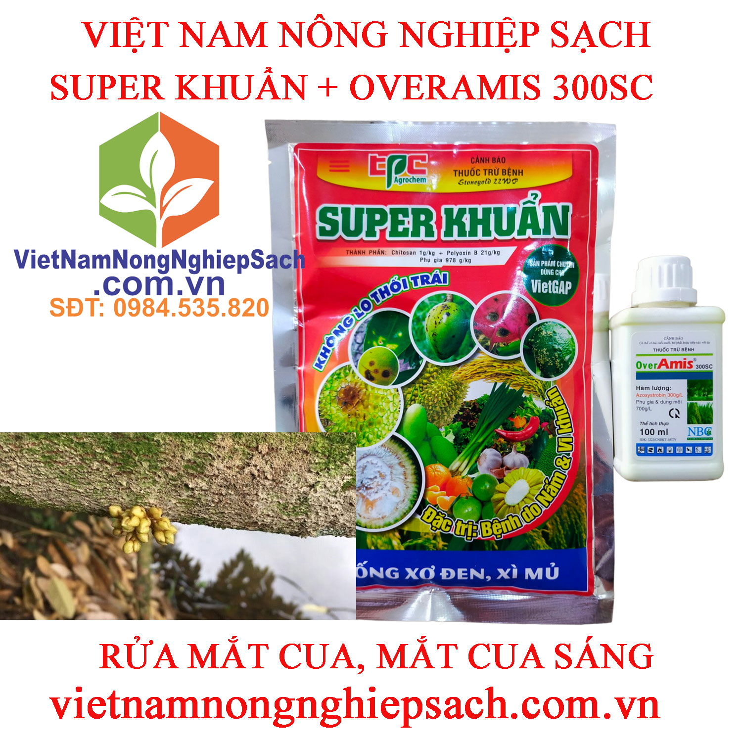 SUPER-KHUẨN-OVERAMIS-MẮT-CUA-SÁNG