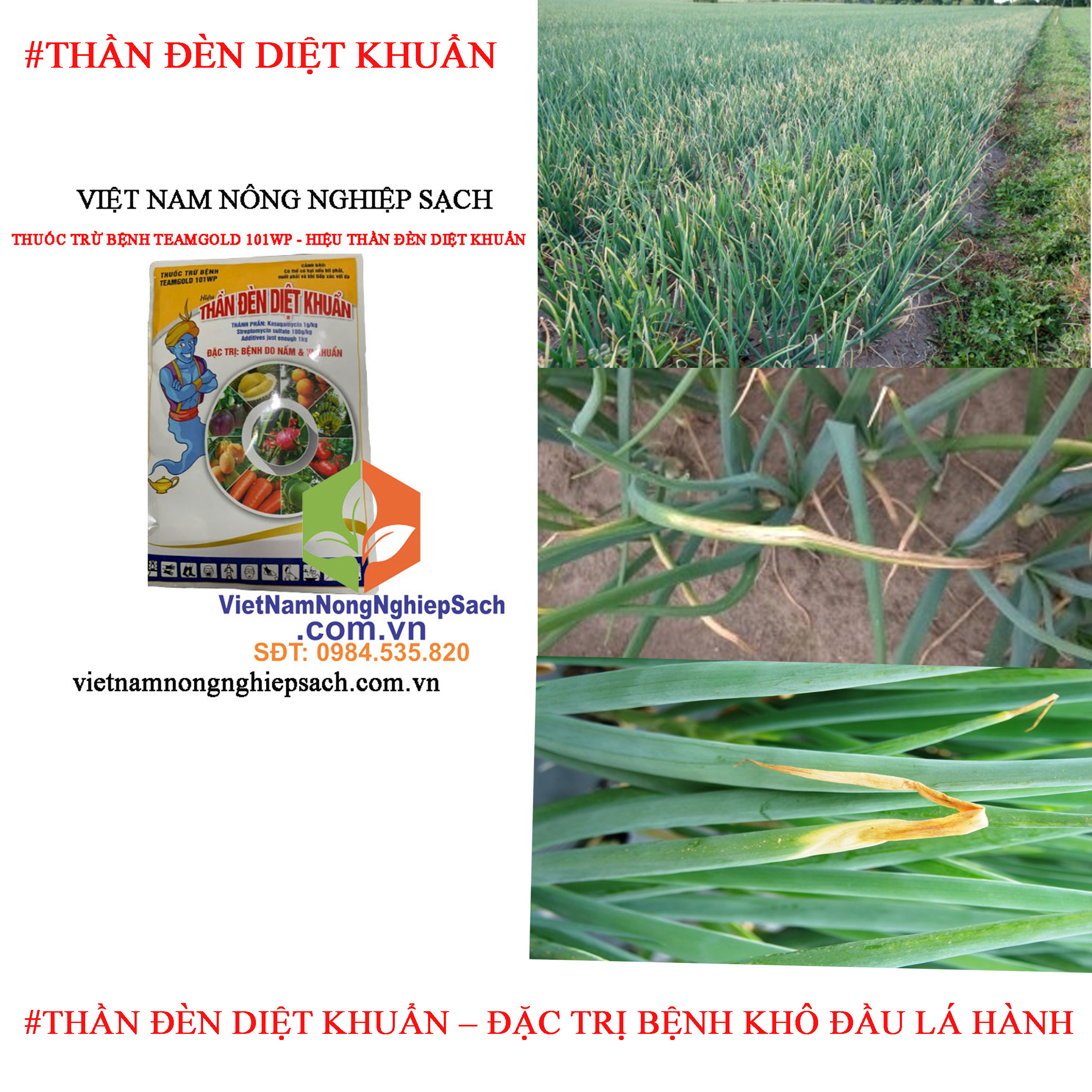 THẦN-ĐÈN-DIỆT-KHUẨN-KHÔ-ĐẦU-LÁ-HÀNH