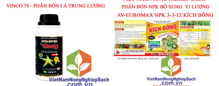 VINCO-79-KÍCH-BÔNG-SẦU-RIÊNG