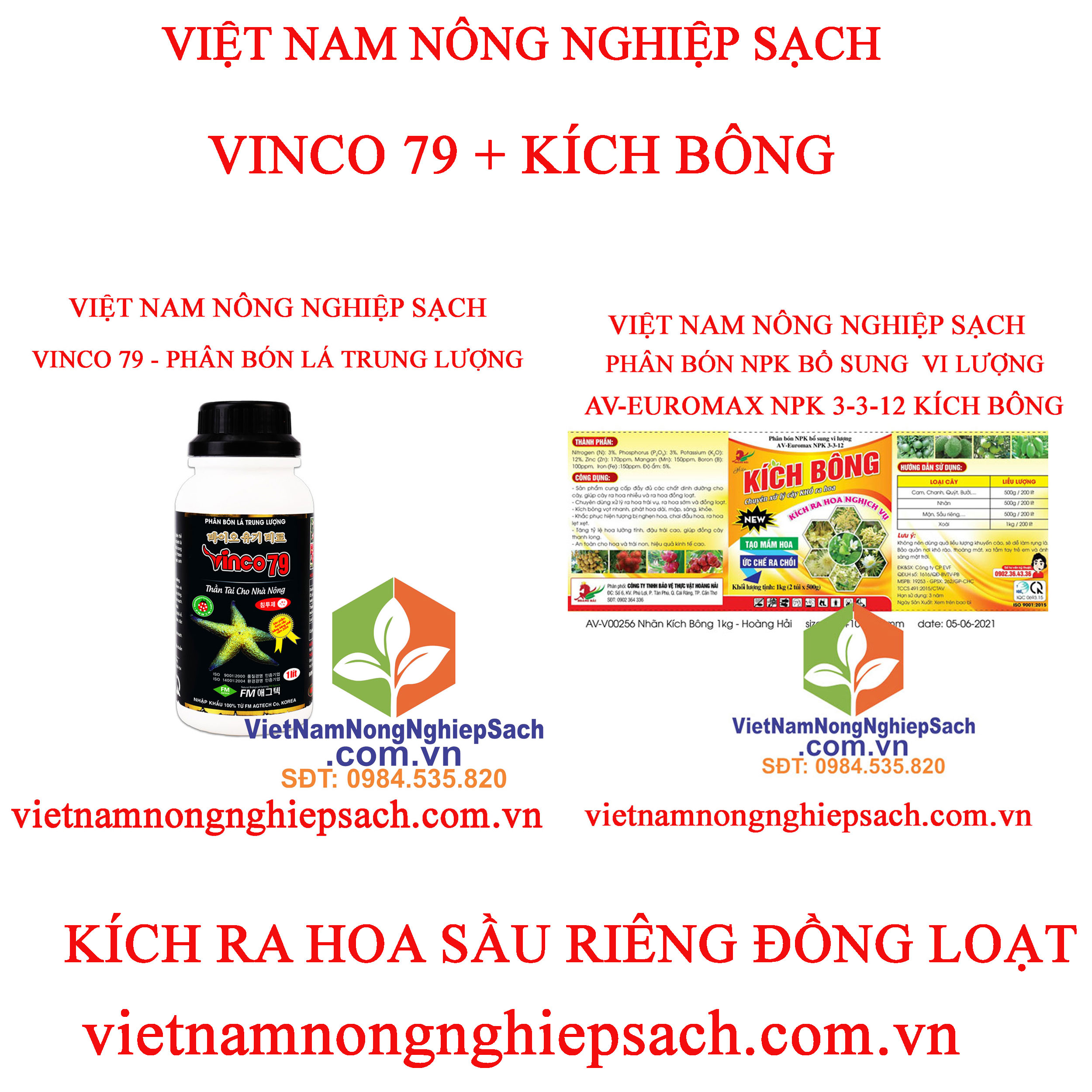 VINCO-79-KÍCH-BÔNG-SẦU-RIÊNG