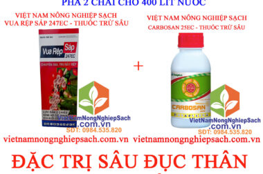 SÂU ĐỤC THÂN, RỆP SÁP TẤN CÔNG CÂY HOA ĐÀO VÀ BIỆN PHÁP XỬ LÝ CỰC HIỆU QUẢ VIỆT NAM NÔNG NGHIỆP SẠCH