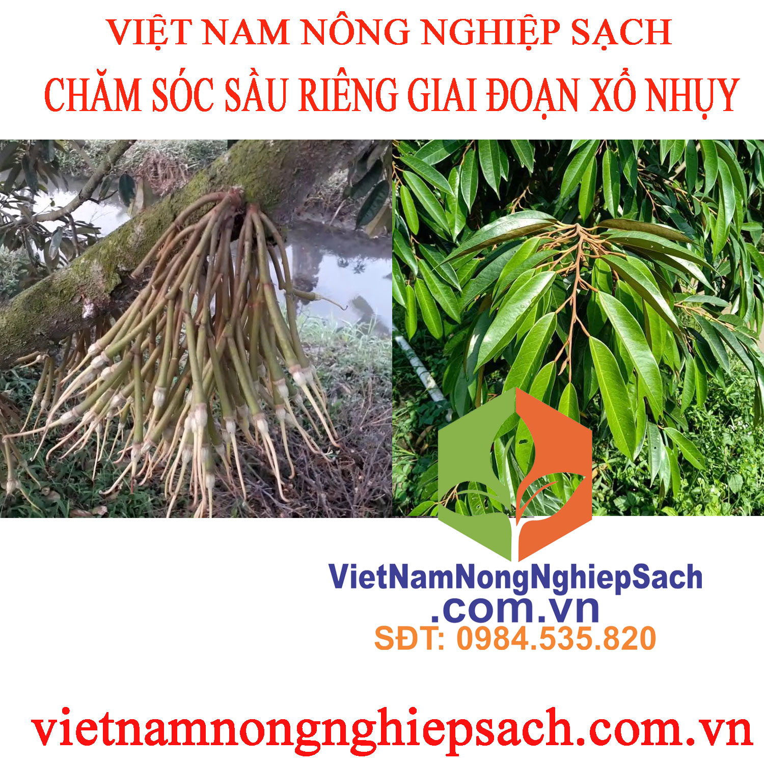 XỔ-NHỤY-2