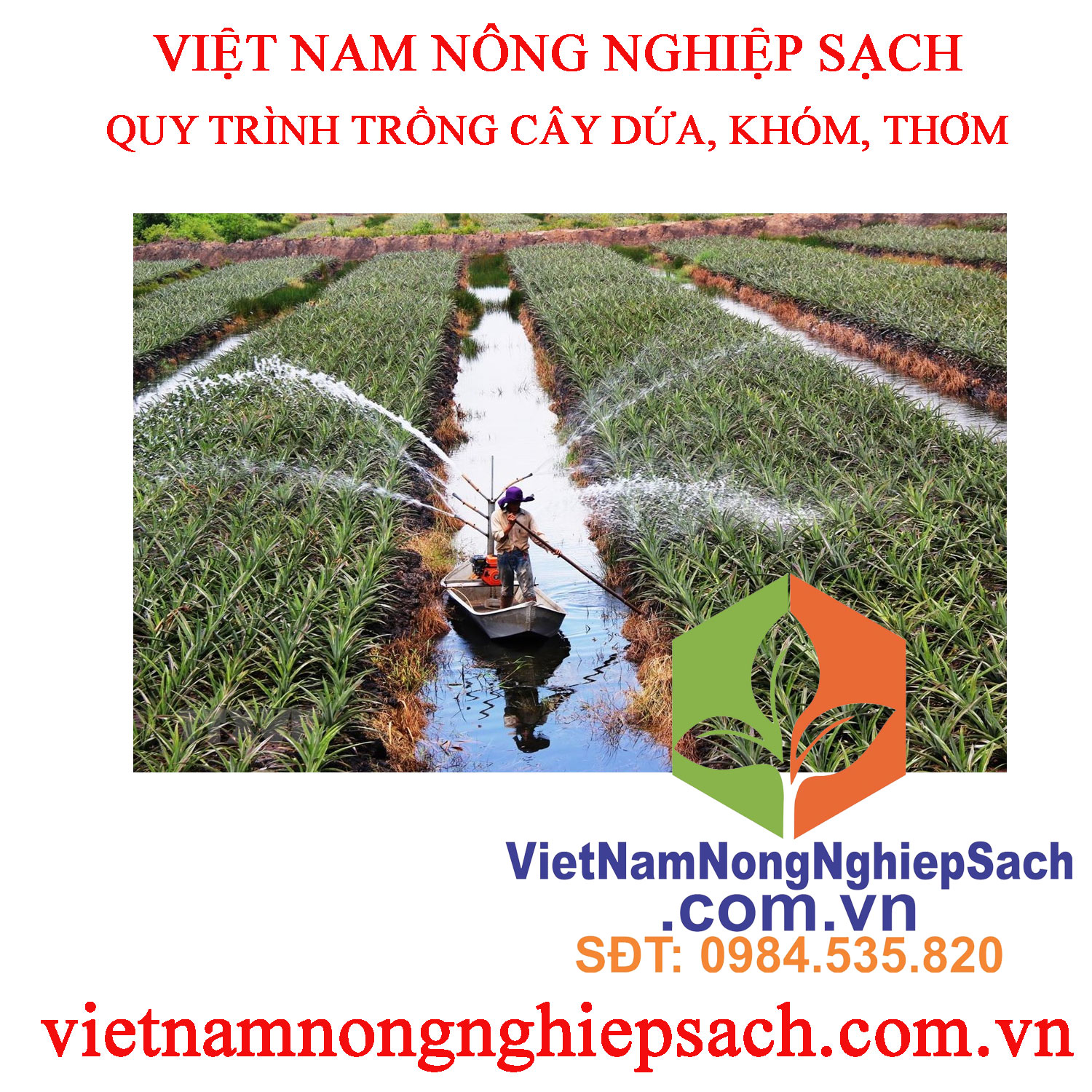 tưới-nước-thơm